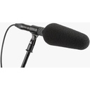DPA Microphones 2017 Supercardioid Shotgun Microphone