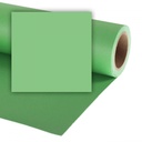 Colorama 135x11 Summer Green Karton Fon