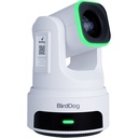 BirdDog X4E Ultra 4K PTZ Kamera AI Takip (Beyaz)